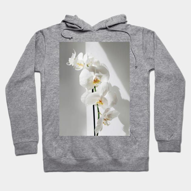 Elegant White Orchid Hoodie by NewburyBoutique